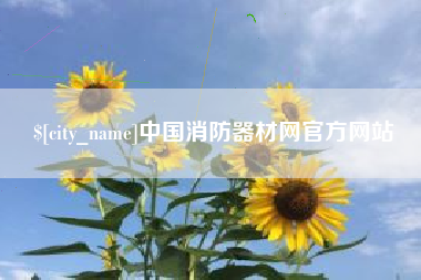 漯河中国消防器材网官方网站