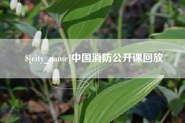 漯河中国消防公开课回放
