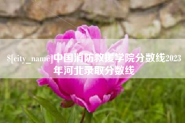 漯河中国消防救援学院分数线2023年河北录取分数线