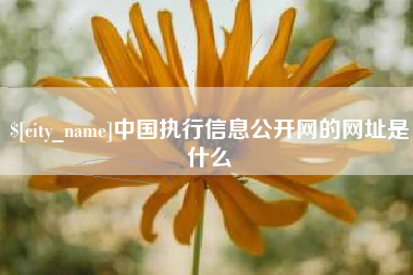 漯河中国执行信息公开网的网址是什么