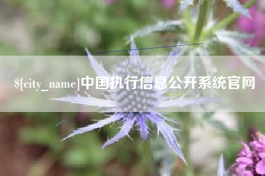 漯河中国执行信息公开系统官网