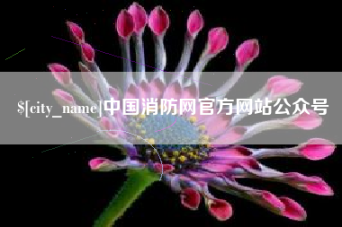 漯河中国消防网官方网站公众号