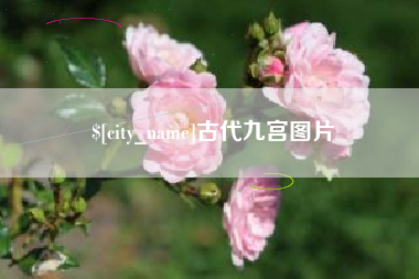 漯河古代九宫图片