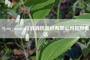 漯河川消消防器材有限公司官网电话