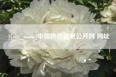 漯河中国执行信息公开网 网址