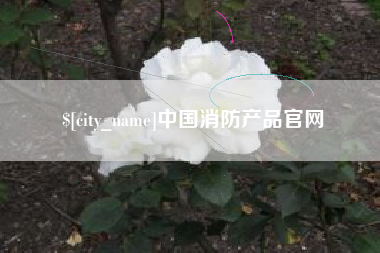 漯河中国消防产品官网