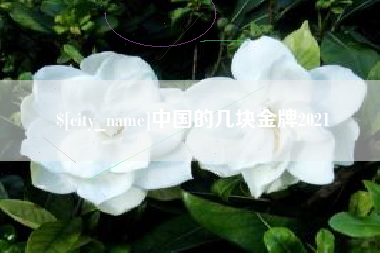 漯河中国的几块金牌2021