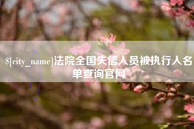 漯河法院全国失信人员被执行人名单查询官网