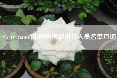 漯河中国失信被执行人员名单查询