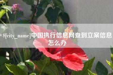 漯河中国执行信息网查到立案信息怎么办