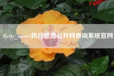漯河执行信息公开网查询系统官网