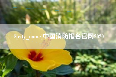 漯河中国消防报名官网2020