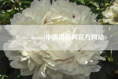 漯河中国消防网官方网站
