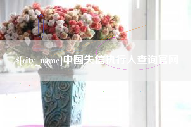 漯河中国失信执行人查询官网