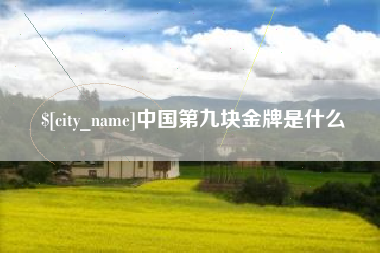 漯河中国第九块金牌是什么