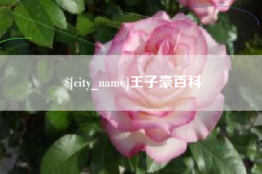 漯河王子豪百科