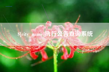 漯河执行公告查询系统