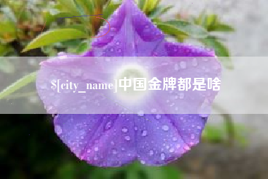 漯河中国金牌都是啥