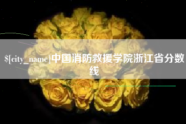 漯河中国消防救援学院浙江省分数线