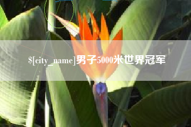 漯河男子5000米世界冠军