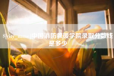 漯河中国消防救援学院录取分数线是多少