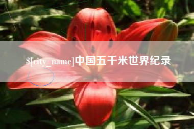 漯河中国五千米世界纪录
