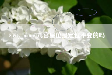 漯河九宫星位是定位不变的吗