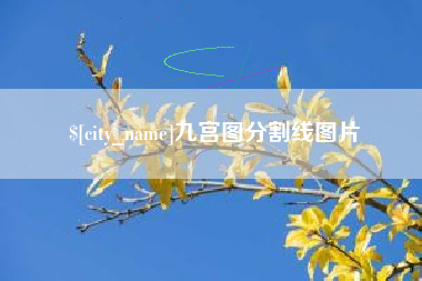 漯河九宫图分割线图片