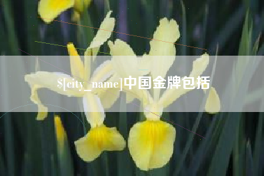 漯河中国金牌包括