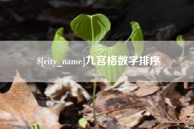 漯河九宫格数字排序