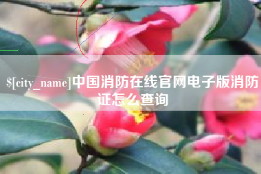 漯河中国消防在线官网电子版消防证怎么查询