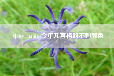 漯河今年九宫格的不利颜色