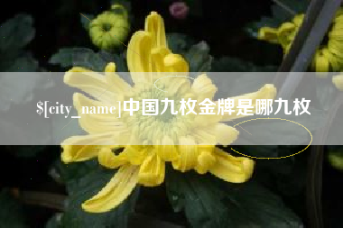 漯河中国九枚金牌是哪九枚
