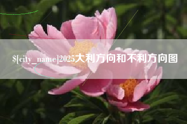 漯河2025大利方向和不利方向图