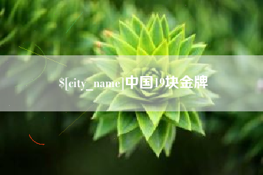 漯河中国19块金牌