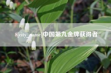 漯河中国第九金牌获得者