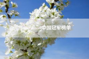 漯河中国冠军榜单