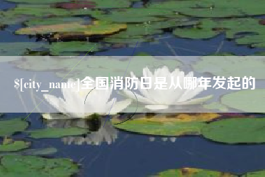 漯河全国消防日是从哪年发起的