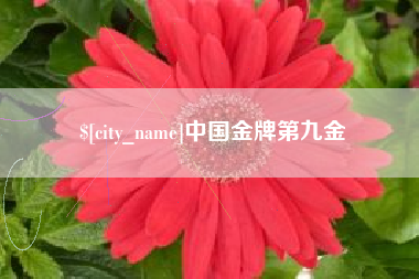 漯河中国金牌第九金