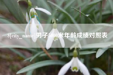 漯河男子5000米年龄成绩对照表