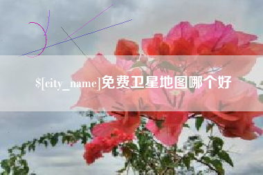 漯河免费卫星地图哪个好