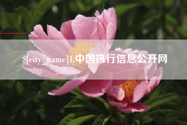 漯河1.中国执行信息公开网