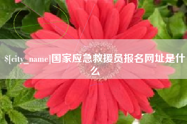 漯河国家应急救援员报名网址是什么