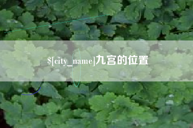 漯河九宫的位置