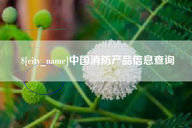漯河中国消防产品信息查询