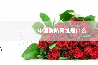 漯河中国消防网址是什么