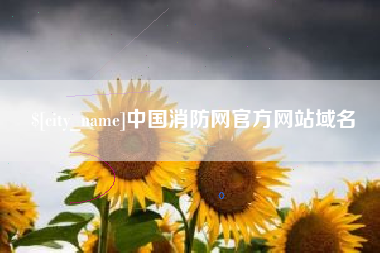 漯河中国消防网官方网站域名