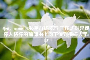 漯河60米接力赛技巧-下压式则是传棒人将棒的前部由上向下传到接棒人手中