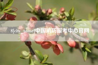 漯河中国消防报考中心官网