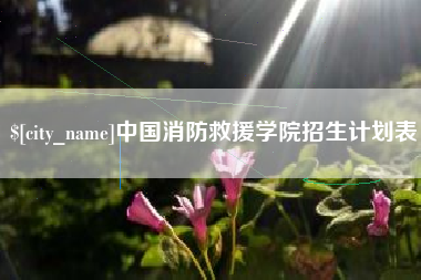 漯河中国消防救援学院招生计划表